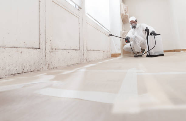 24/7 Emergency Basement Mold Remediation experts in Springfield, KY